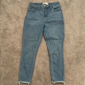 Abercrombie & Fitch Curve Love Ankle Jean